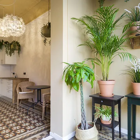 Casa Maca (adults Only) Guest house