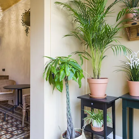 Casa Maca (adults Only) Barcelona