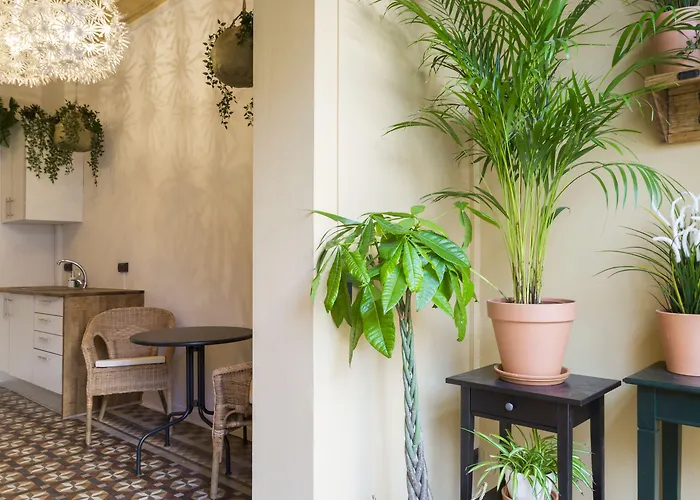 Casa Maca (adults Only) Pensionat