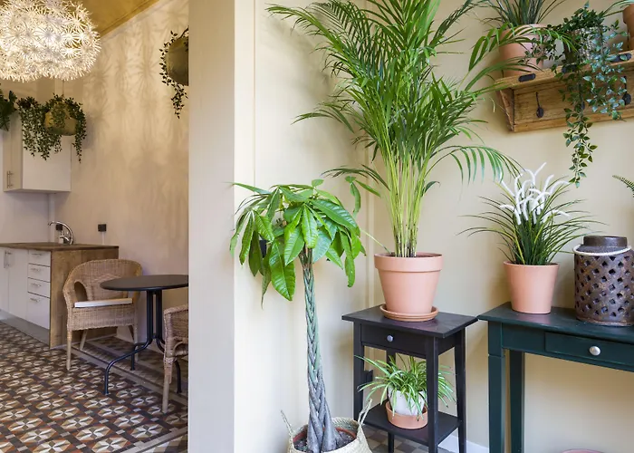 Casa Maca (adults Only) Barcelona